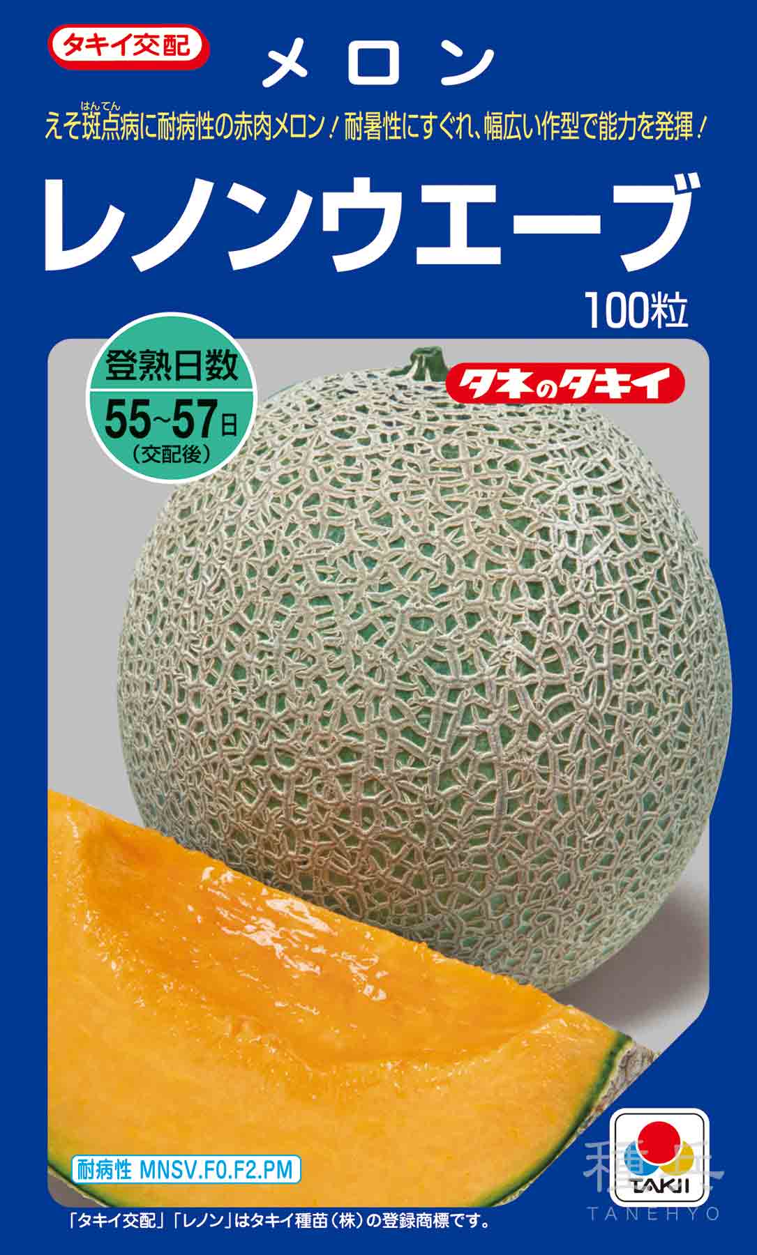 赤肉メロン 種 『レノンウエーブ』 AMA02K タキイ種苗/100粒
