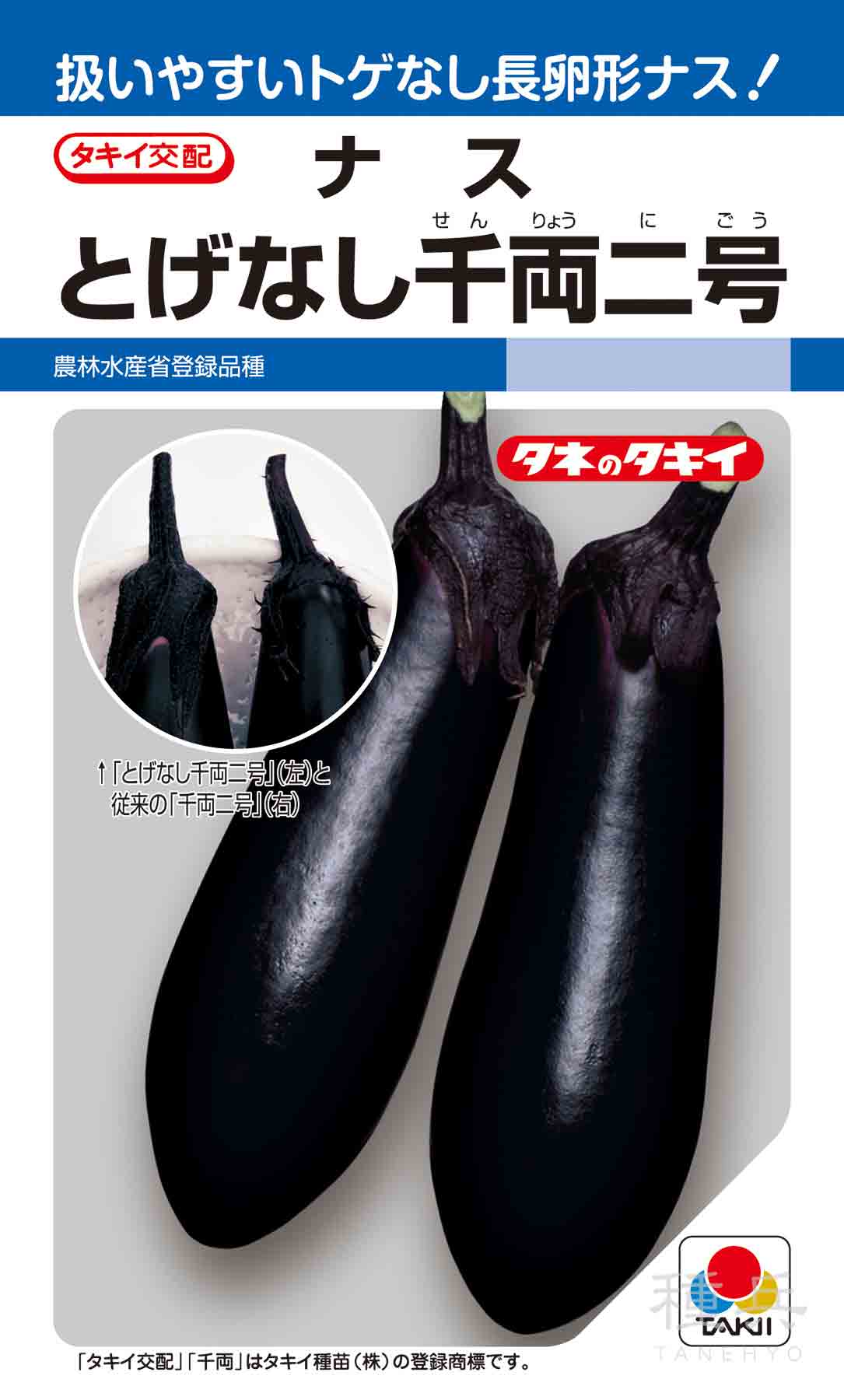 長卵型ナス 種 『とげなし千両二号』 ANA065 タキイ種苗/小袋(DF) : 種