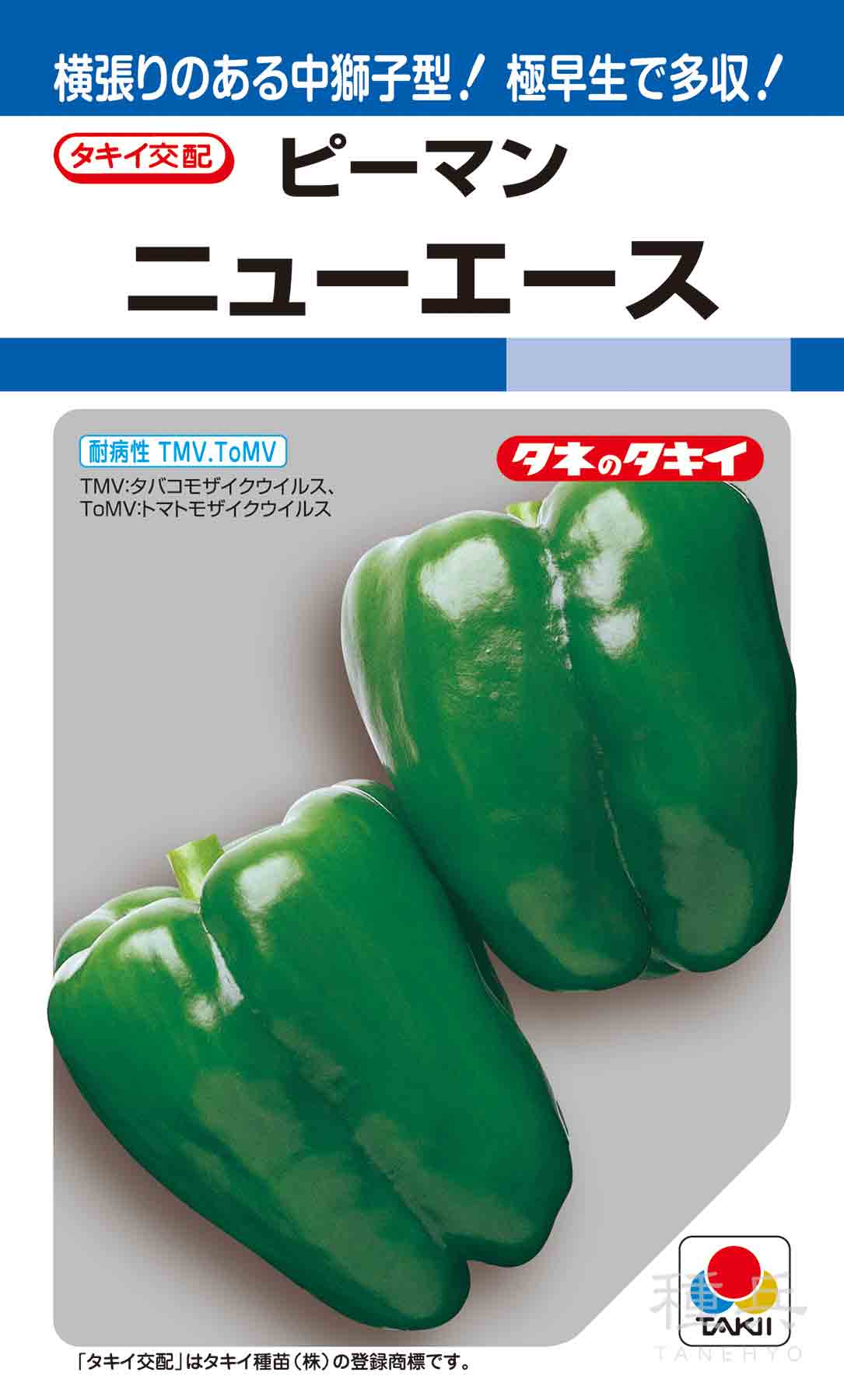 ピーマン（中獅子型） 種 『ニューエース』 APE002 タキイ種苗/小袋(DF