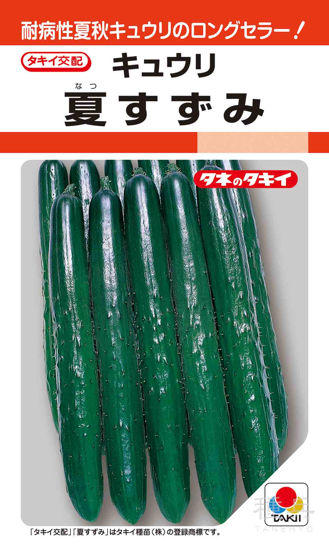 耐病性夏秋キュウリ 種 『夏すずみ』 ACU044 タキイ種苗/350粒 : 種兵