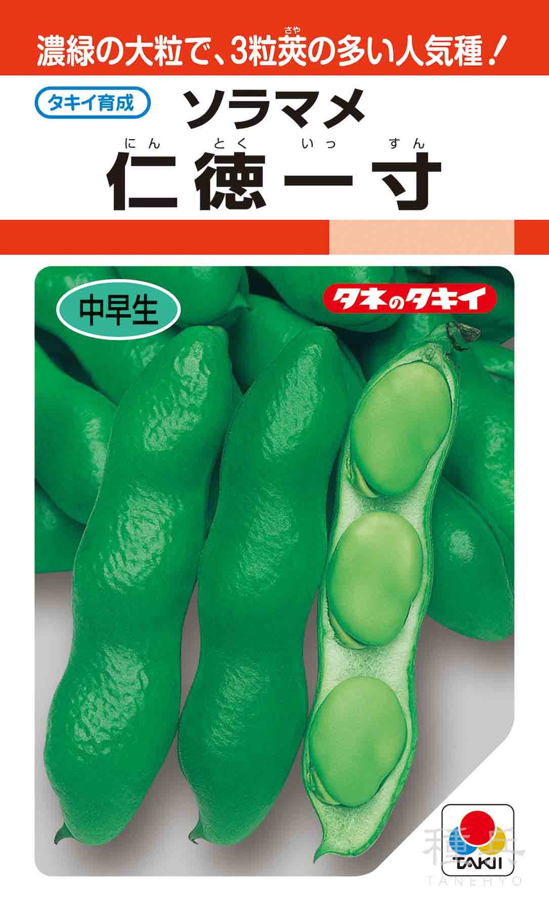 一寸ソラマメ 種 『仁徳一寸』 ASM127 タキイ種苗/1L : 種兵ネット