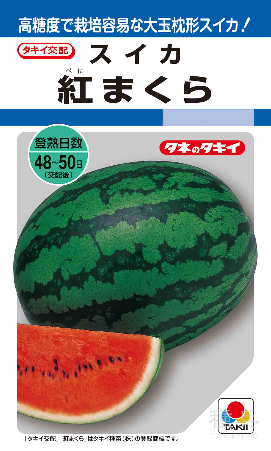 紅まくら　特大２玉入り 甘くて美味しい　１9〜20Kg 大玉枕形スイカ 種 『紅まくら』 ASU026 タキイ種苗/200粒 : 種兵