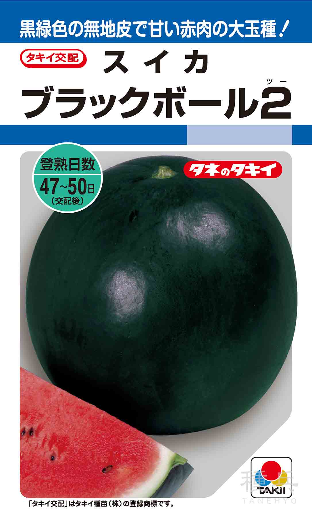 大玉高球スイカ 種 『ブラックボール2』 ASU049 タキイ種苗/200粒 : 種