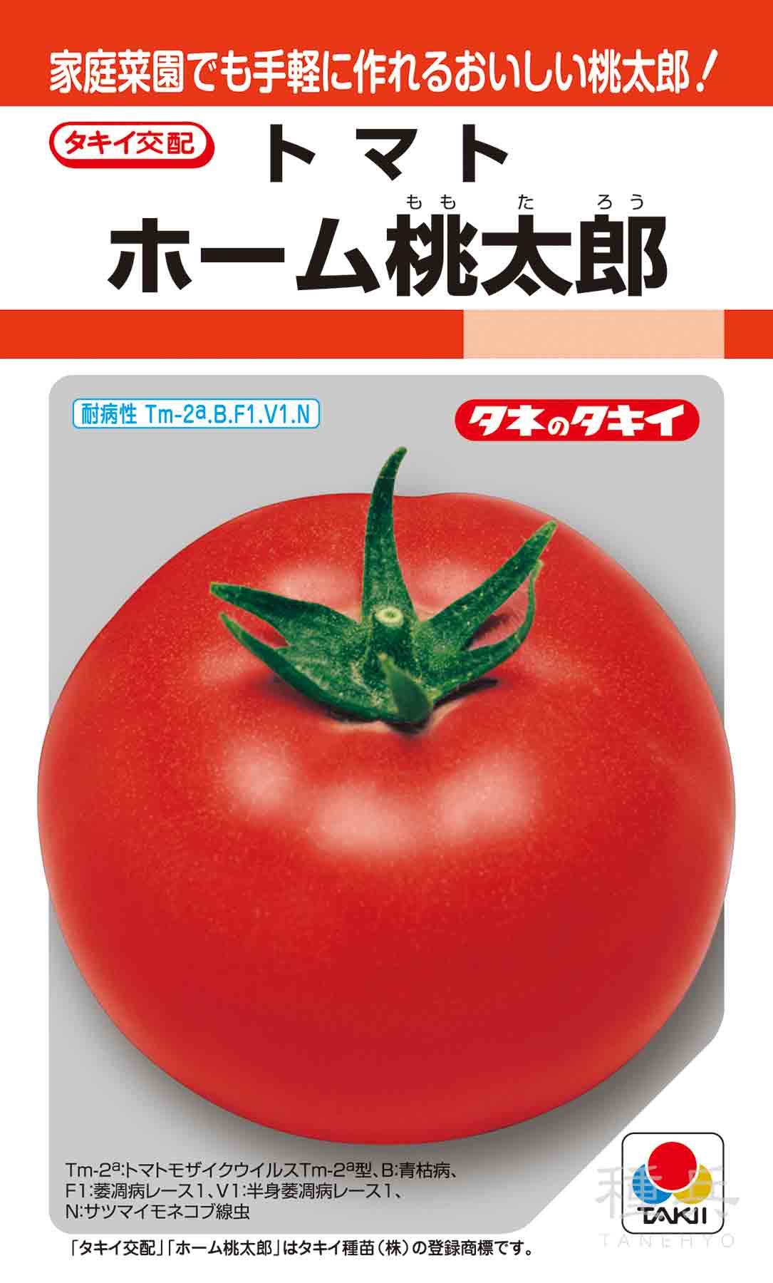 桃太郎系（夏秋）トマト 種 『ホーム桃太郎』 ATM099 タキイ種苗/小袋