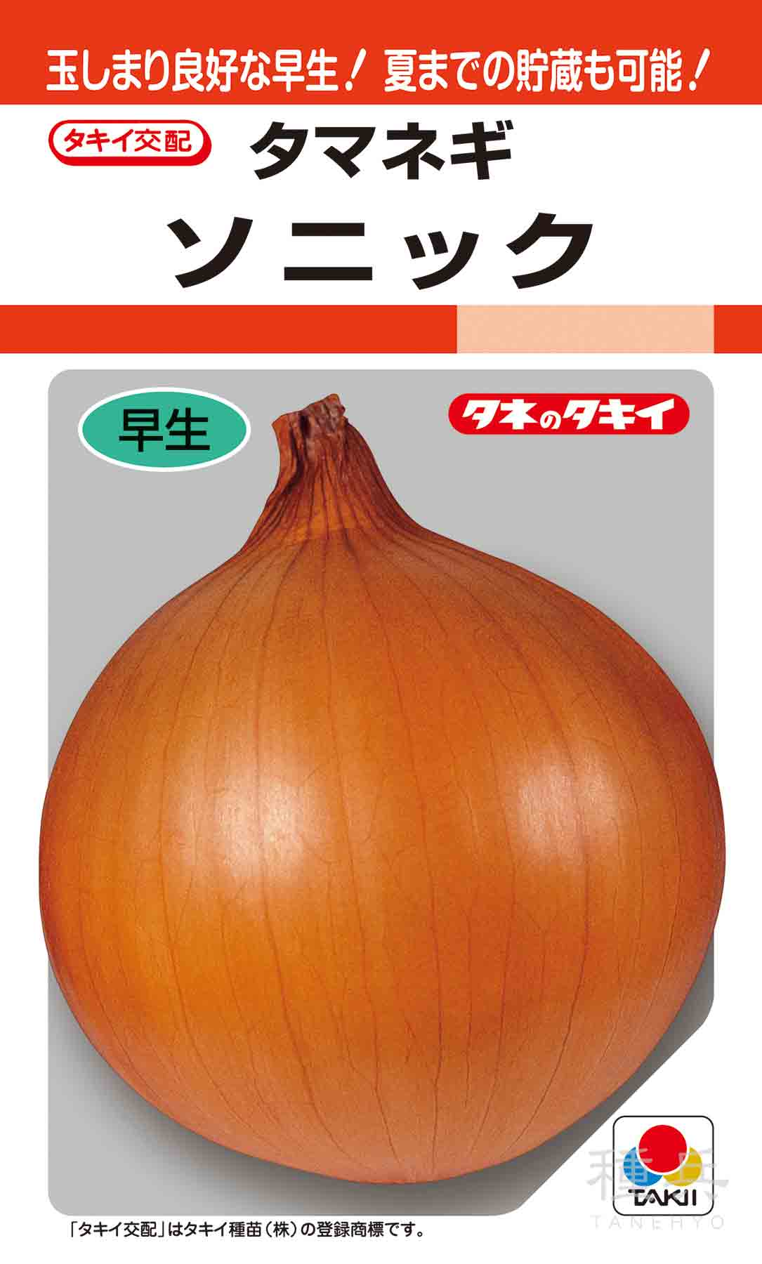 早生種タマネギ 種 『ソニック』 ATA005 タキイ種苗/小袋(DF) : 種兵