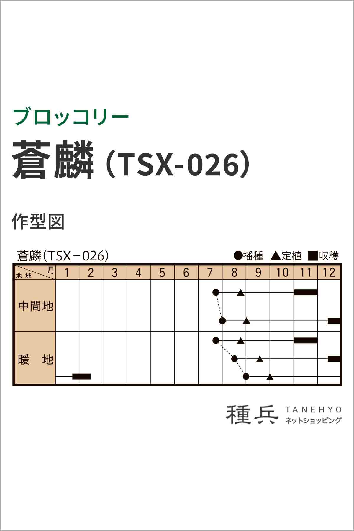 ブロッコリー 種 『蒼麟』 トキタ種苗/コート5,000粒 : 種兵ネット