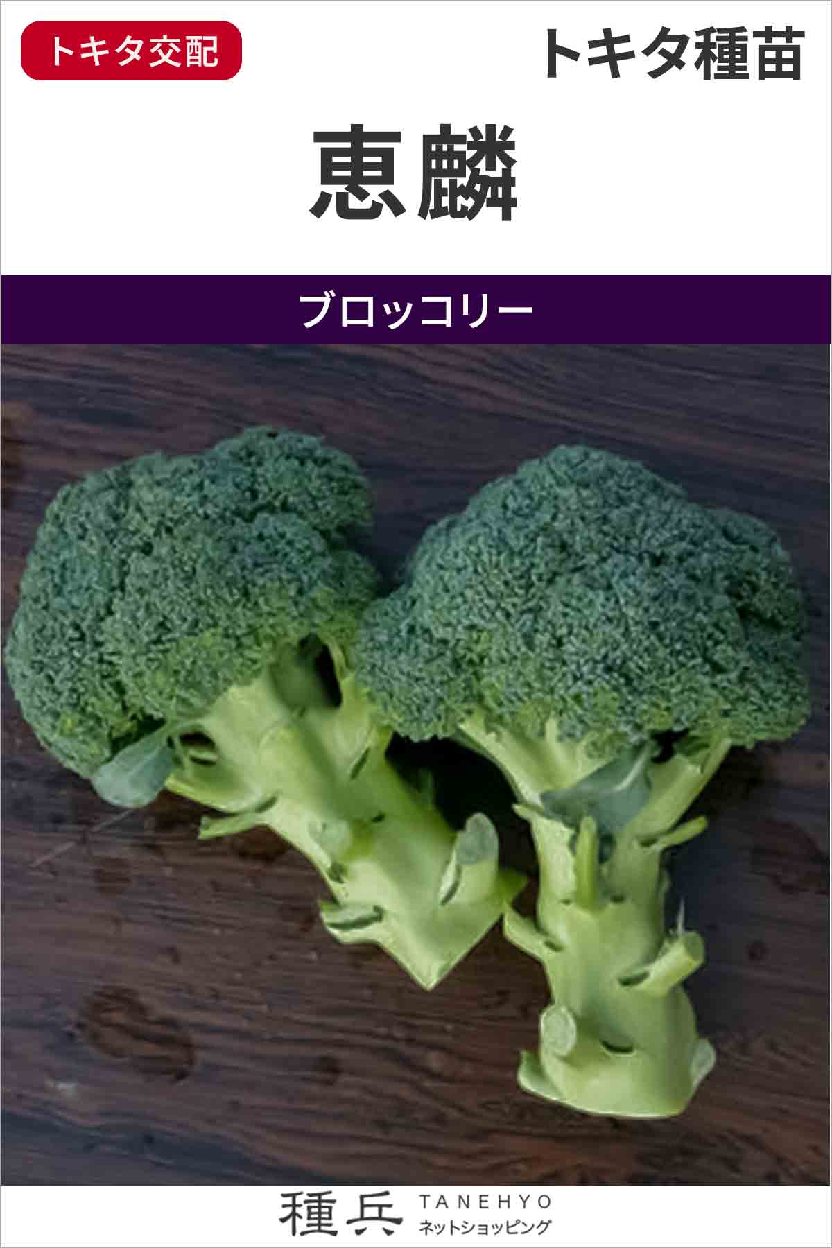 ブロッコリー 種 『おはよう』 サカタのタネ/ペレット 5000粒 : 種兵