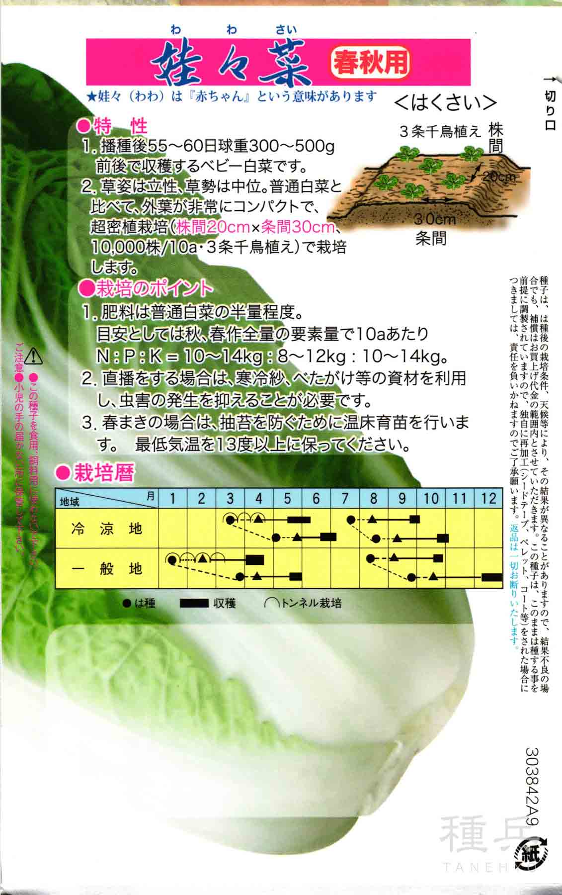 空芯菜（種、種子） | 花、ガーデニング のおすすめ人気商品一覧 通販