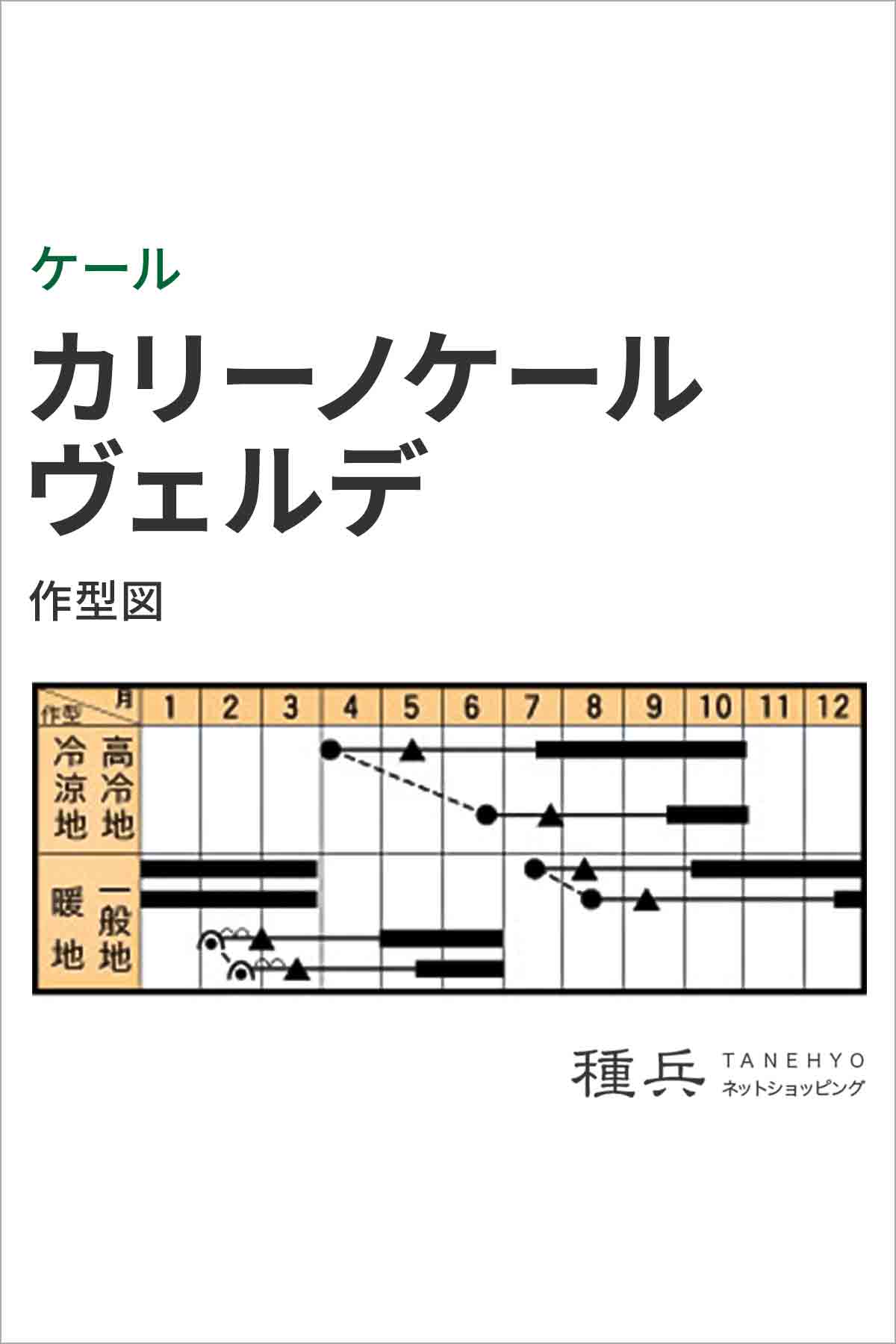 ケール 種 『カリーノケールヴェルデ』 トキタ...の詳細画像1
