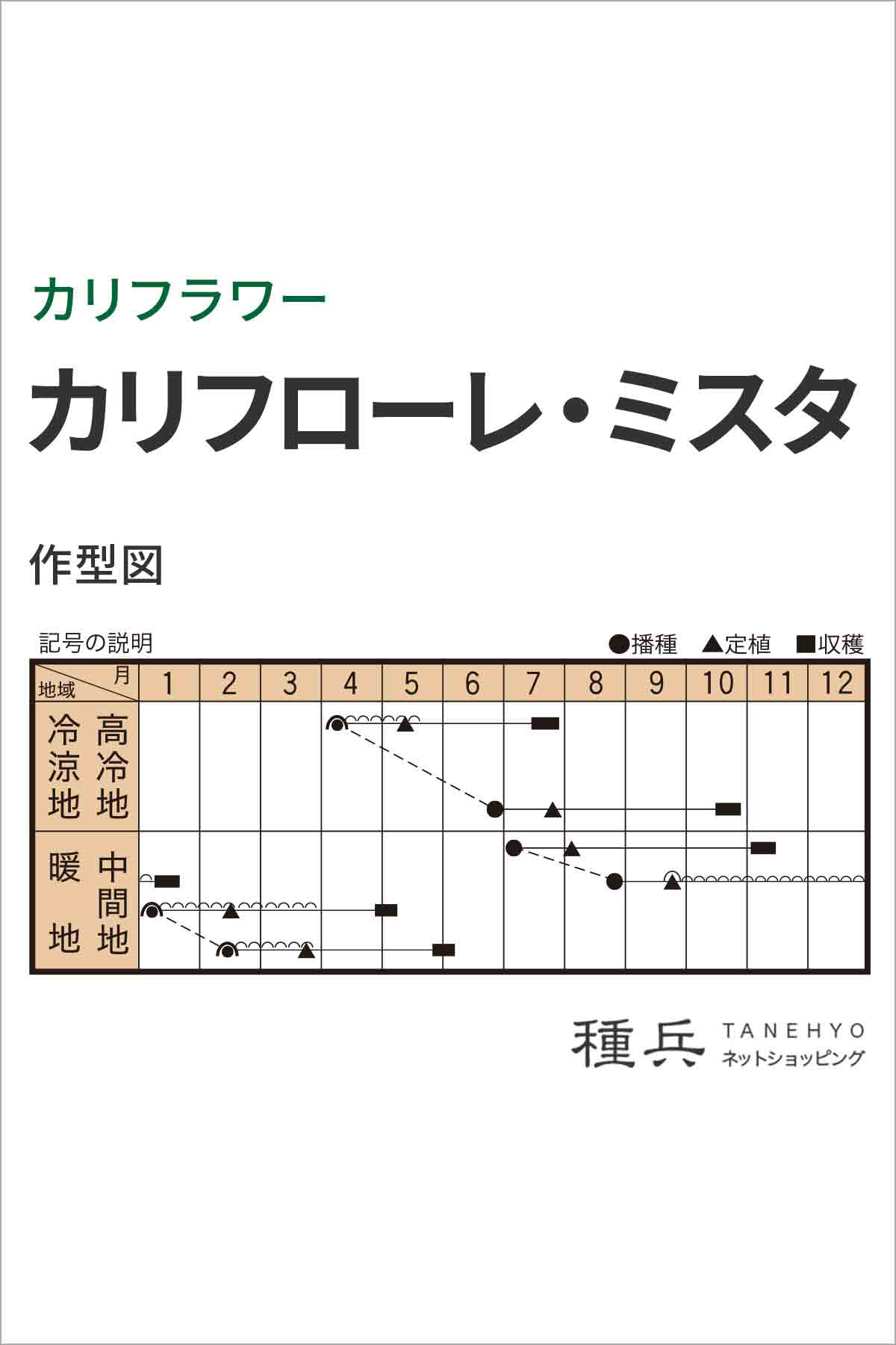 茎カリフラワー 種 『カリフローレ・ミスタ』 ...の詳細画像1