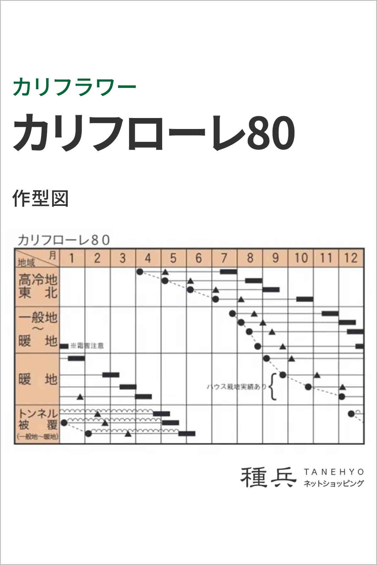 カリフラワー 種 『カリフローレ80』 トキタ種苗/小袋 : 種兵ネット