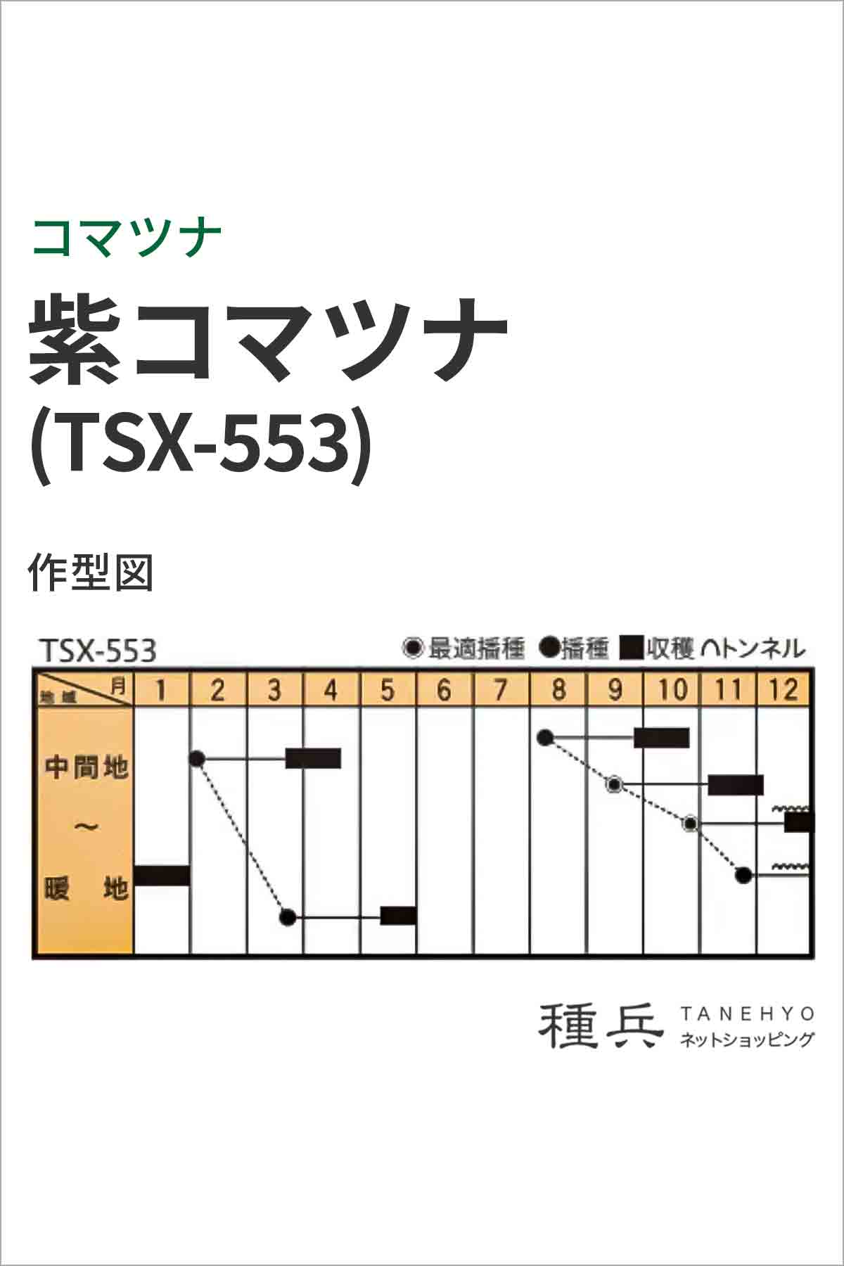 コマツナ 種 『紫小松菜(TSX-553)』 トキタ種苗/1dl : 種兵ネット