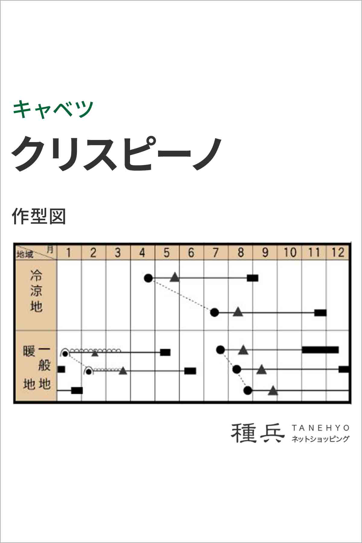 ちりめんキャベツ 種 『クリスピーノ』 トキタ...の詳細画像1