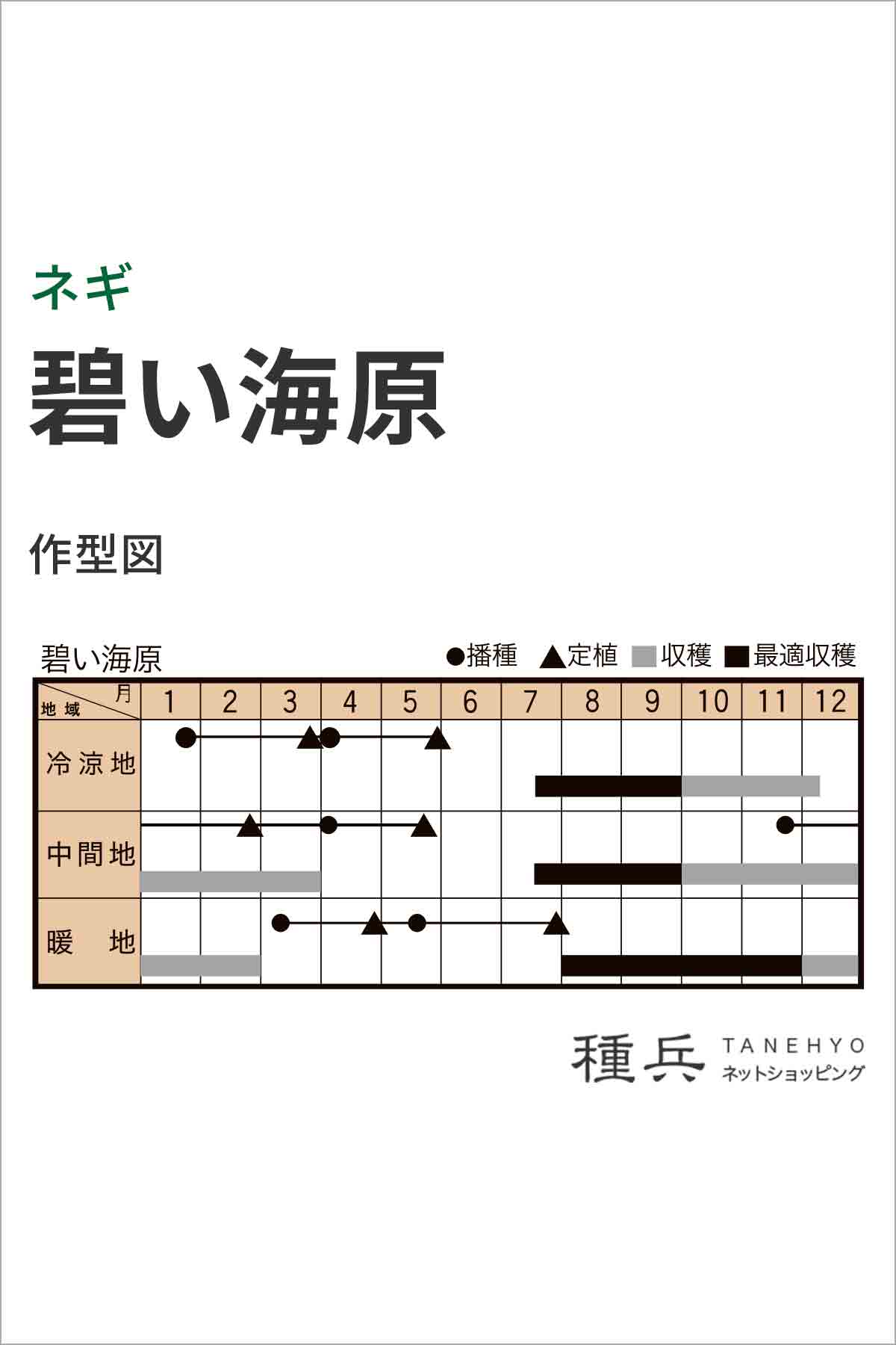 根深ネギ 種 『碧い海原』 トキタ種苗/コートL5000粒 : 種兵ネット