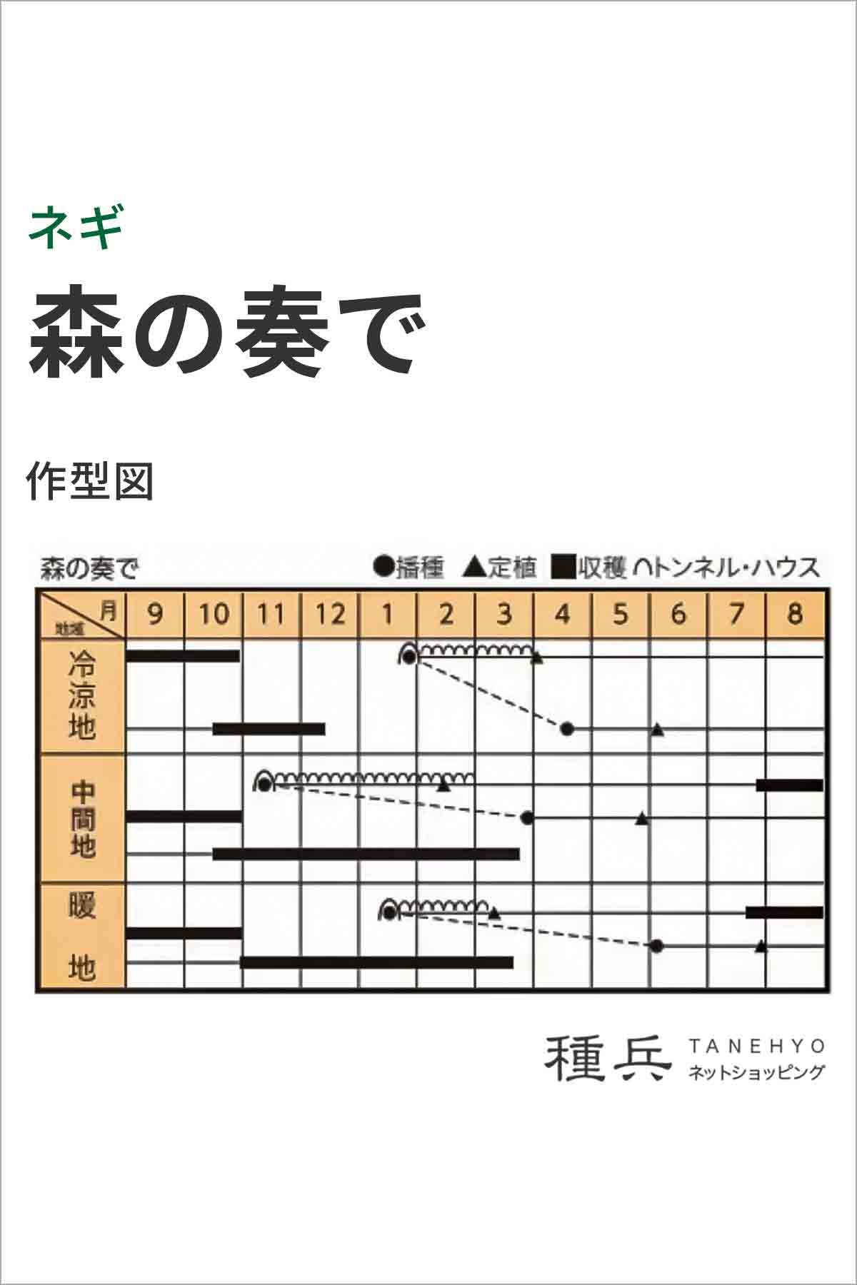 根深ネギ 種 『森の奏で』 トキタ種苗/20ml : 種兵ネットショッピング
