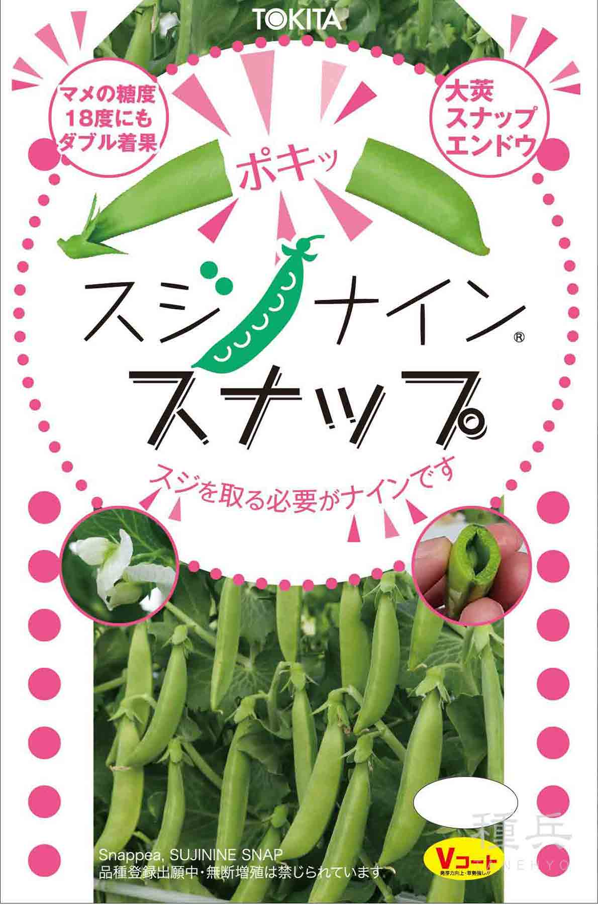 Yahoo! Yahoo!ショッピング(ヤフー ショッピング)スナップエンドウ 種 『スジナインスナップ』  トキタ種苗/小袋