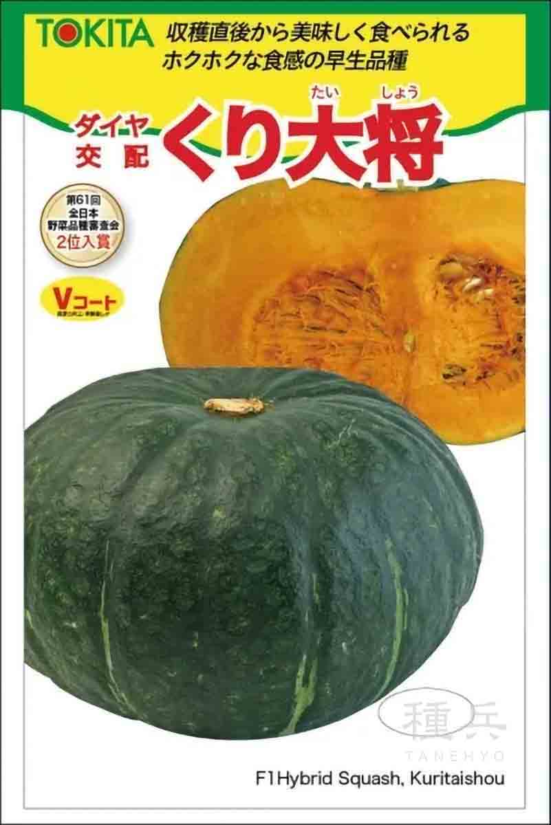 寒玉キャベツ 種 『冬魂（N-243）』 野崎採種場/100粒 : 種兵ネット