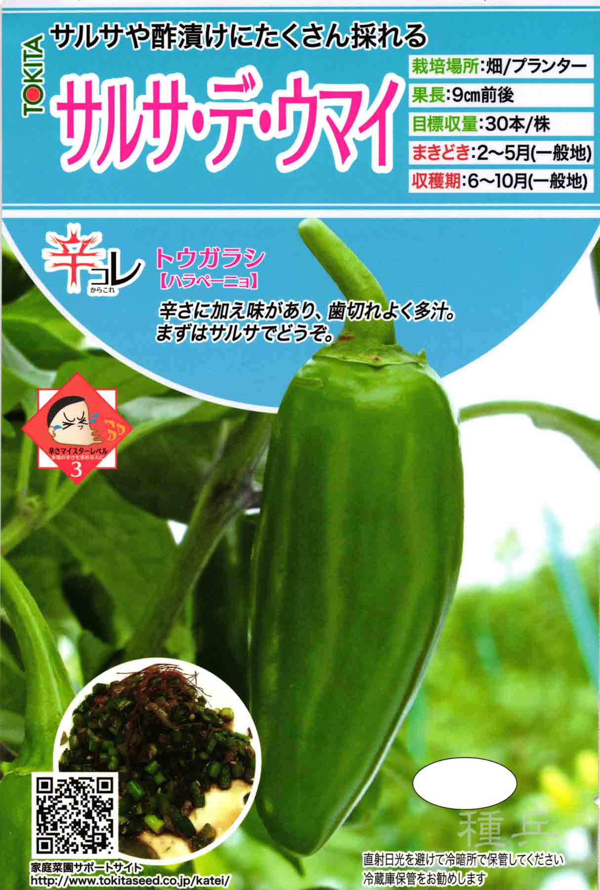 中早生ブロッコリー 種 『ルミナス』 ブロリード/Lコート5000粒 : 種兵