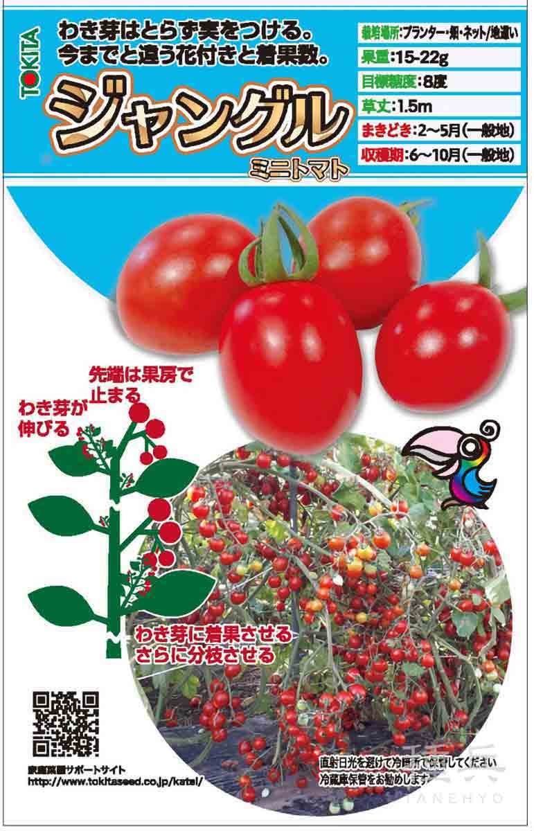 超極早生タマネギ 種 『浜笑』 カネコ種苗/ペレット5000粒 : 種兵