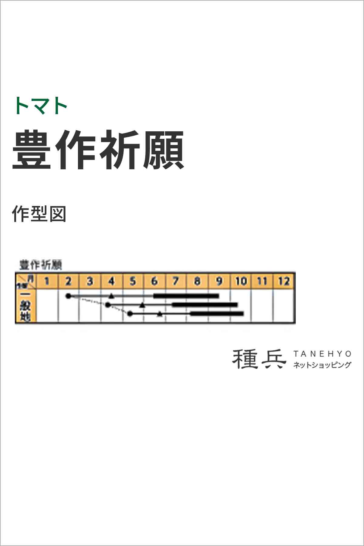 大玉トマト 種 『豊作祈願』 トキタ種苗/小袋の詳細画像1