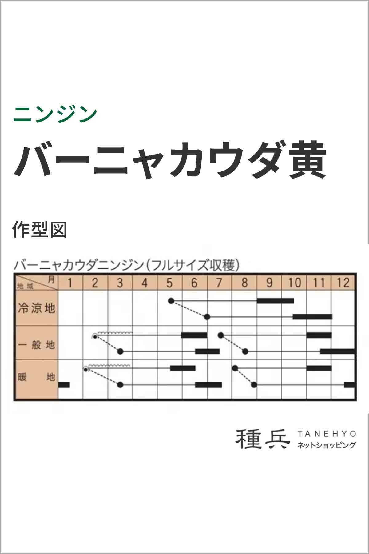 ニンジン 種 『バーニャカウダ黄』 トキタ種苗...の詳細画像1