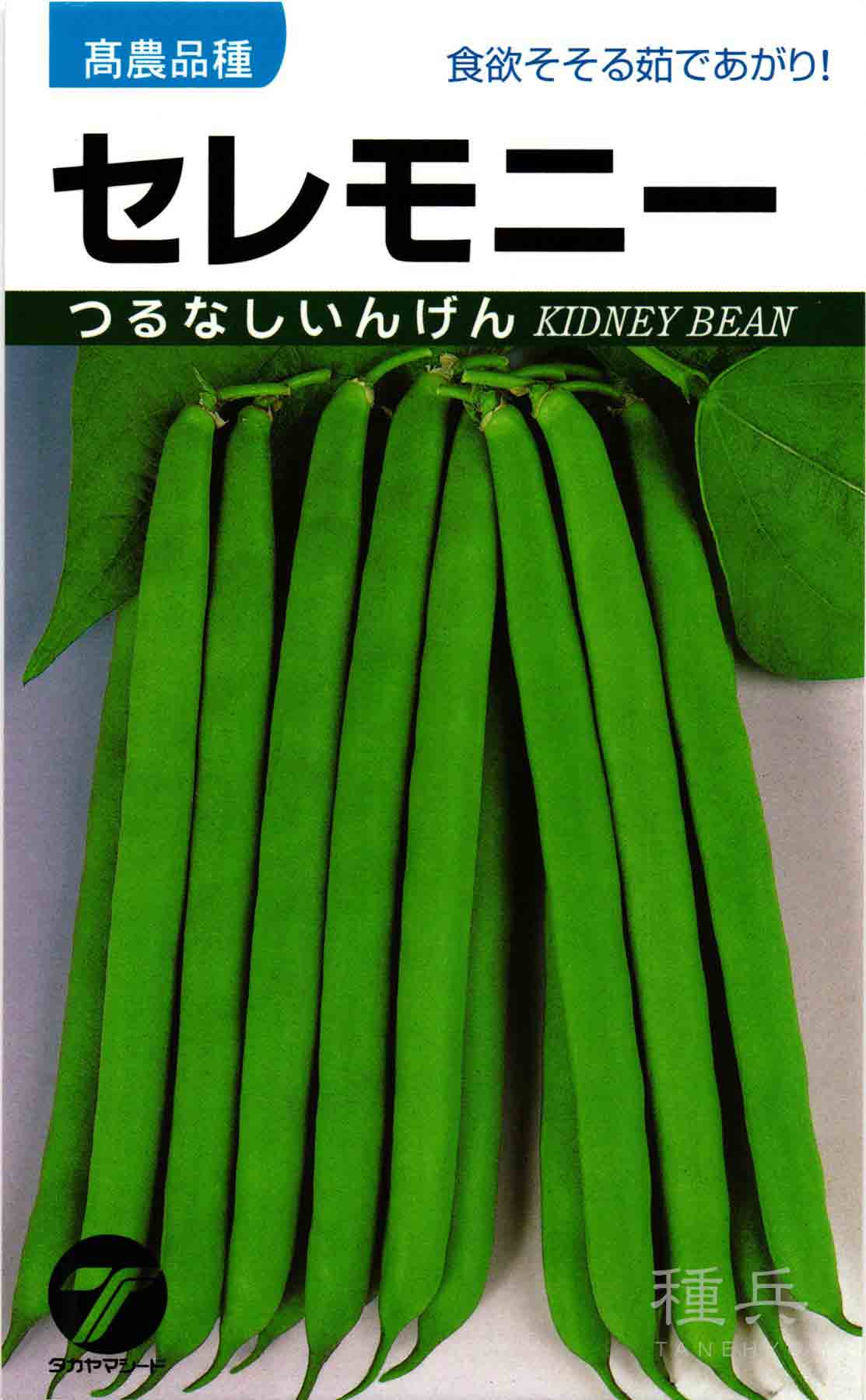 つるなしインゲン 種 『セレモニー』  タカヤマシード/１ｄｌ