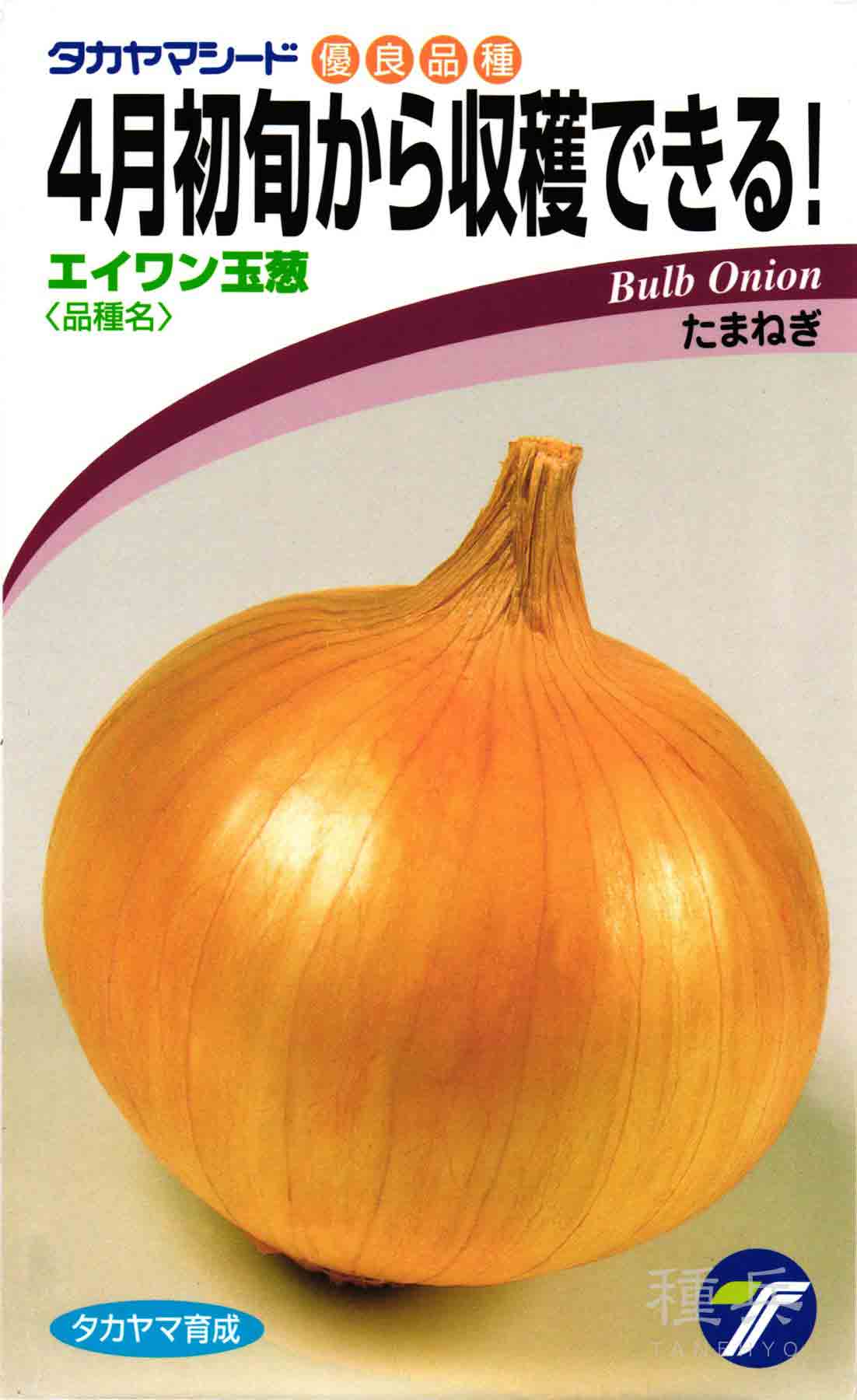タマネギ 種 『エイワン玉葱』 タカヤマシード/20ml : 種兵ネット