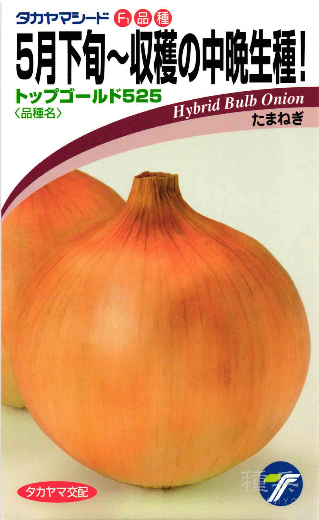 タマネギ 種 『トップゴールド525』 タカヤマシード/2dl