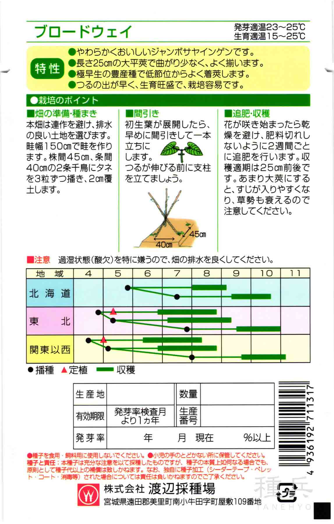 つるありインゲン 種 『ブロードウェイ』 渡辺...の詳細画像1