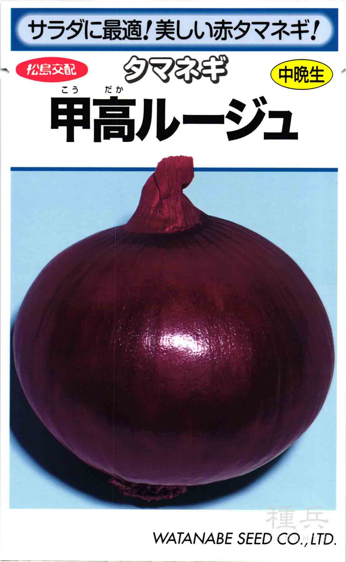 寒玉キャベツ 種 『冬魂（N-243）』 野崎採種場/100粒 : 種兵ネット