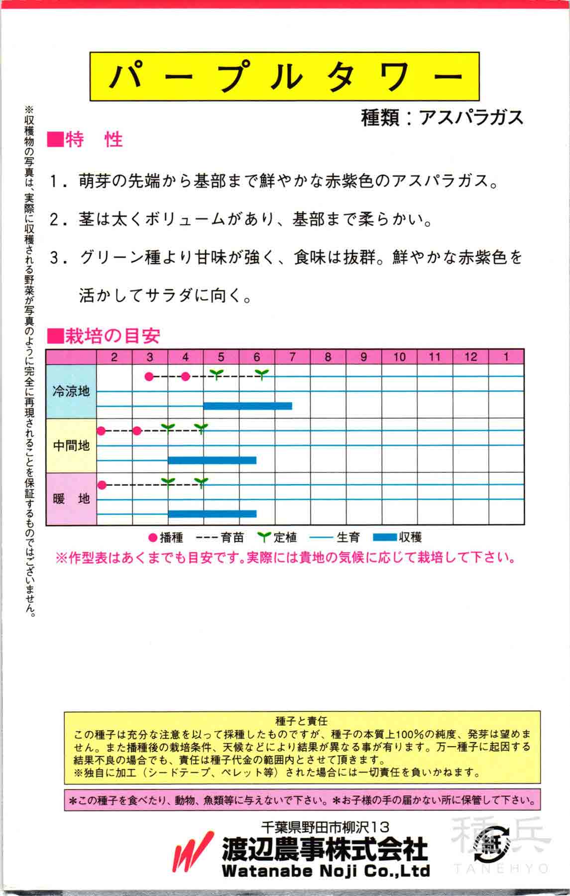 紫アスパラガス 種 『パープルタワー』 渡辺農...の詳細画像1