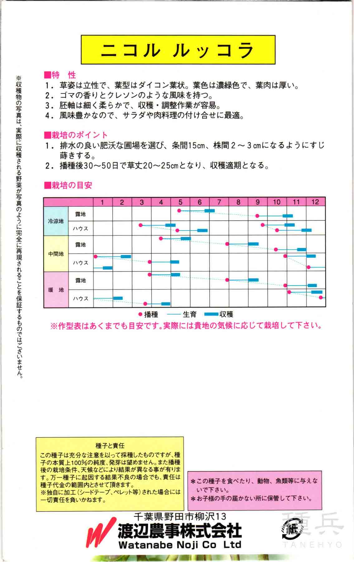 ルッコラ 種 『ニコル・ルッコラ』 渡辺農事/小袋の詳細画像1