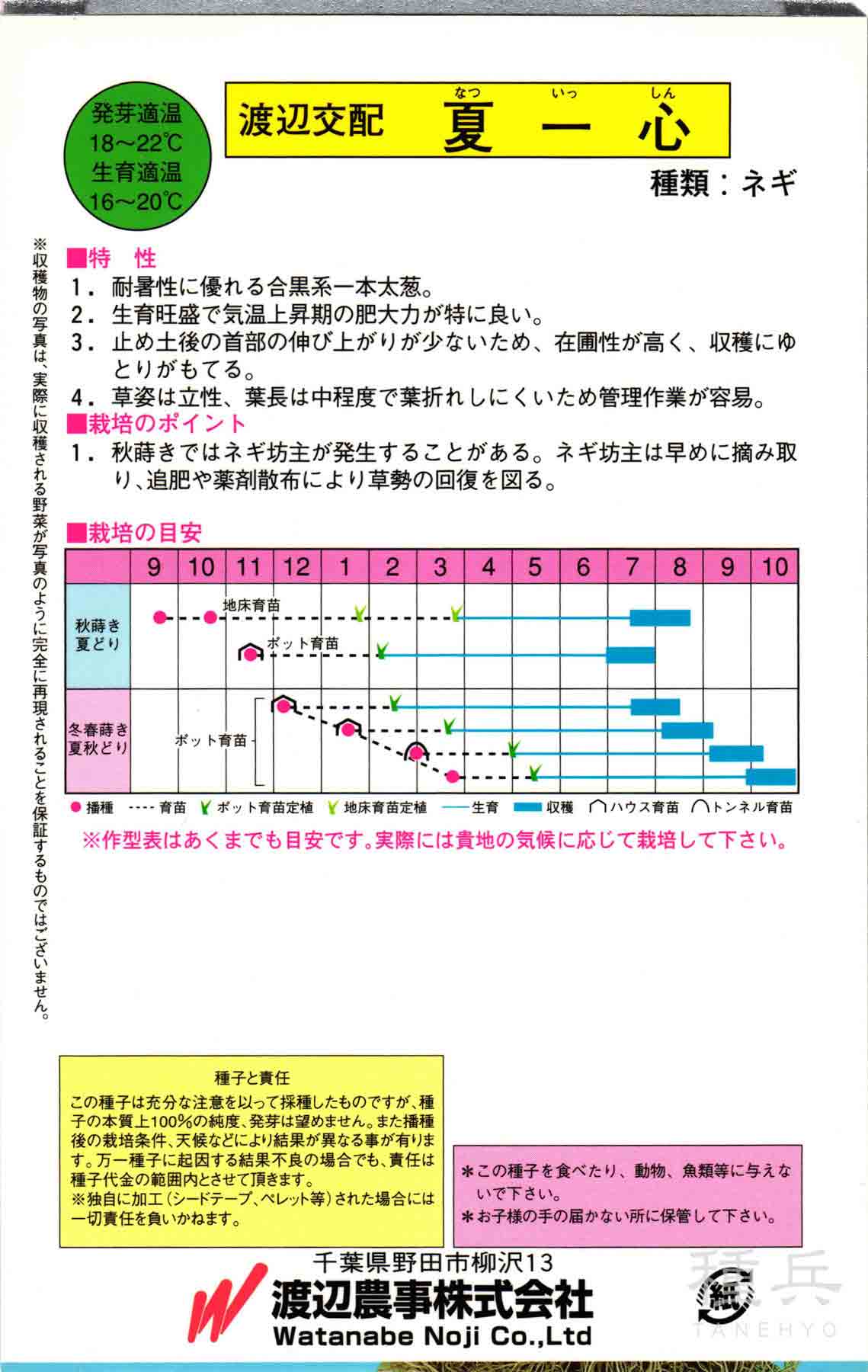 根深ネギ 種 『夏一心(なついっしん)』 渡辺...の詳細画像1