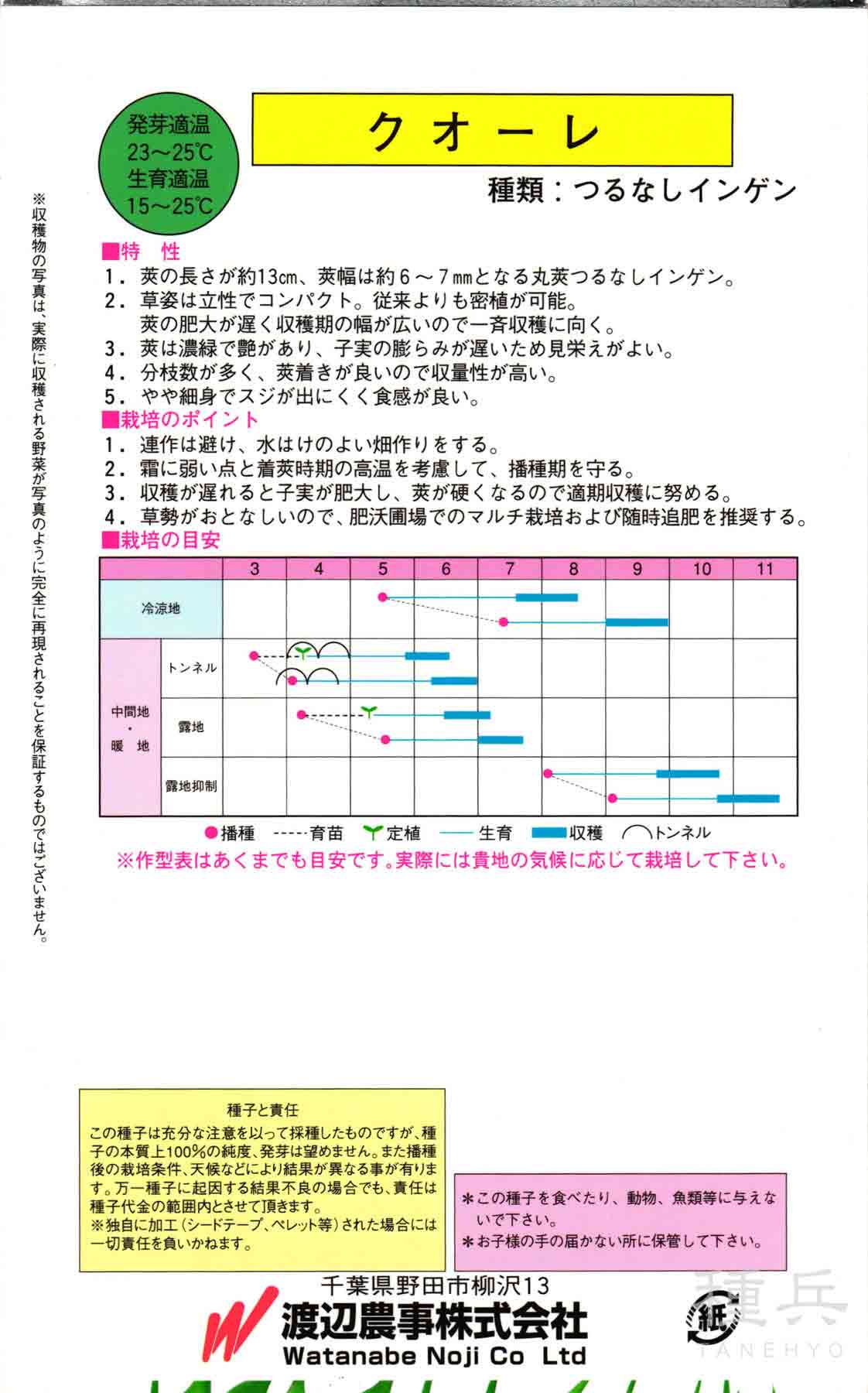 つるなしインゲン 種 『クオーレ』 渡辺農事/...の詳細画像1