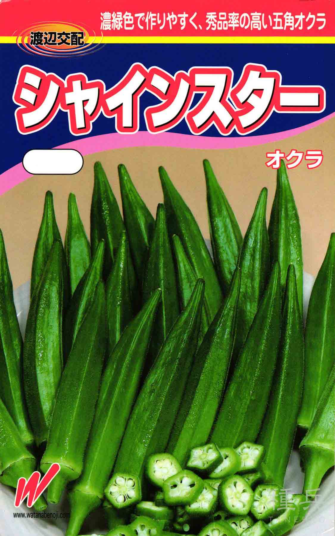 オクラ 種 『シャインスター(NX-AE801)』 渡辺農事/1万粒