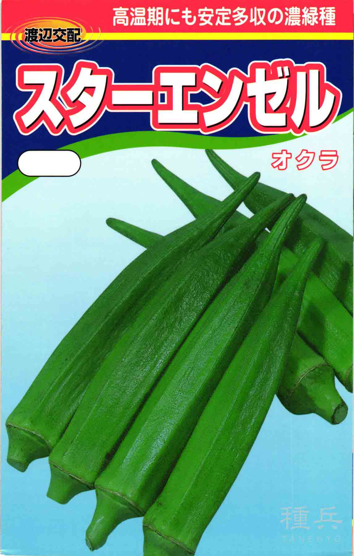 オクラ 種 『スターエンゼル』 渡辺農事/1万粒