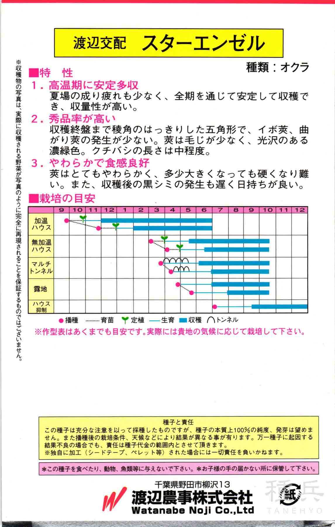 オクラ 種 『スターエンゼル』 渡辺農事/1万粒_1