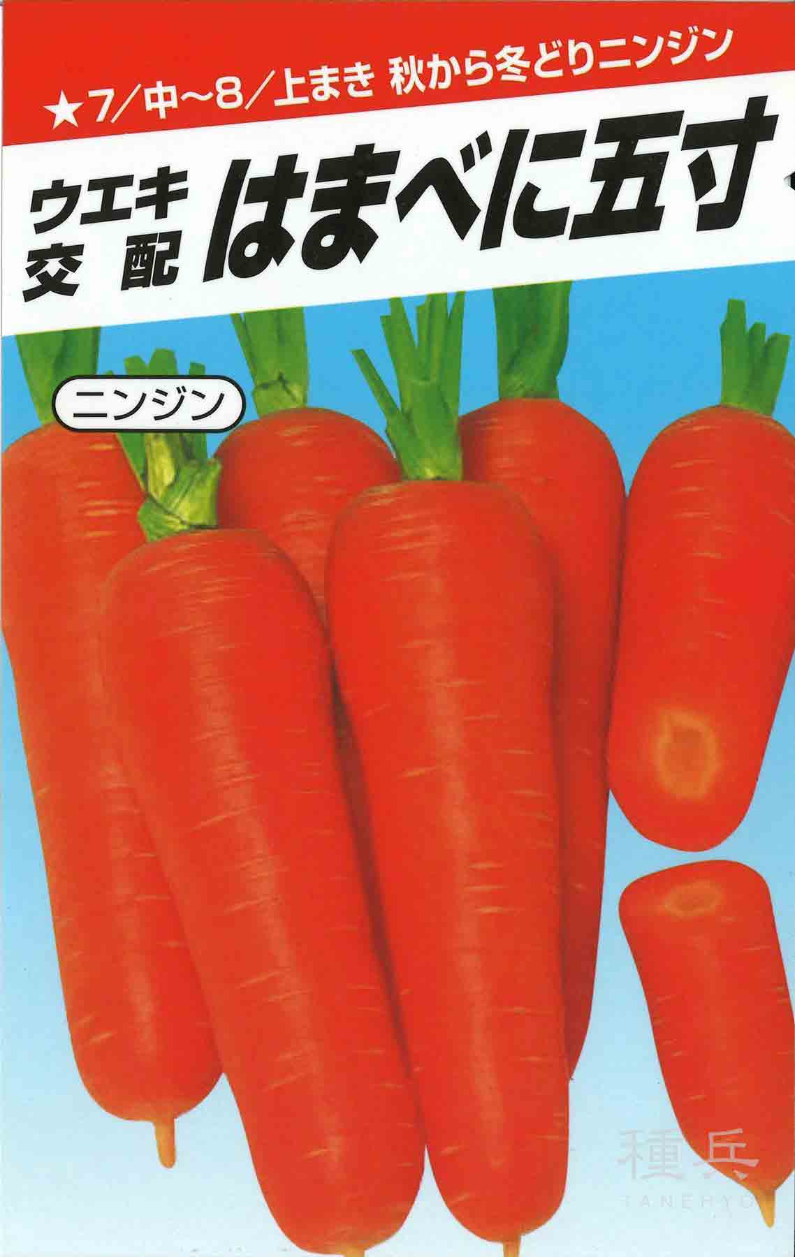 ニンジン 種 『はまべに五寸』 横浜植木/1L