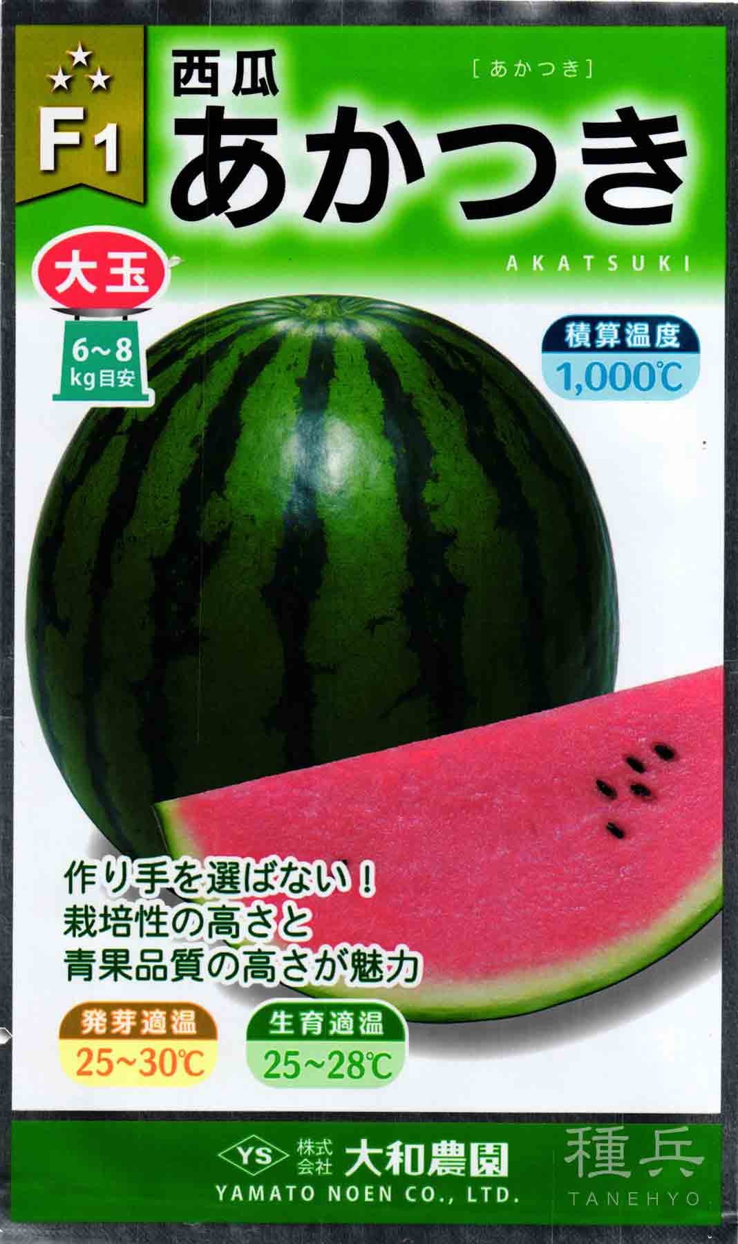 超極早生タマネギ 種 『浜笑』 カネコ種苗/ペレット5000粒 : 種兵