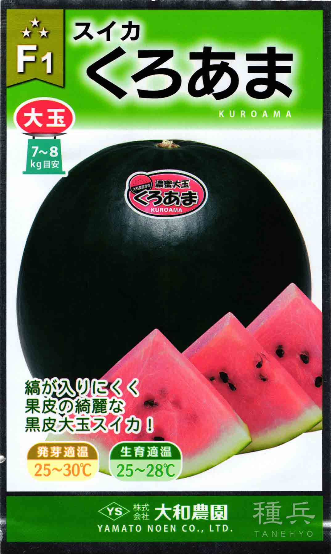 大玉黒皮スイカ 種 『くろあま』 大和農園/200粒 : 種兵ネット