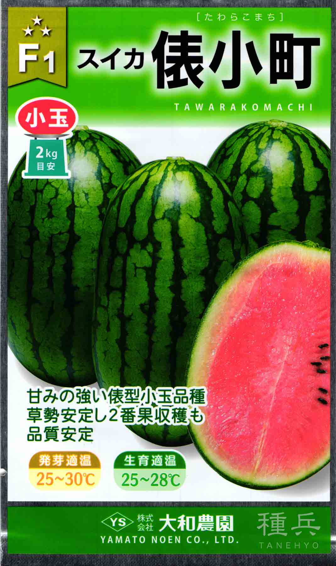 楕円小玉スイカ 種 『俵小町』 大和農園/200粒 : 種兵ネット