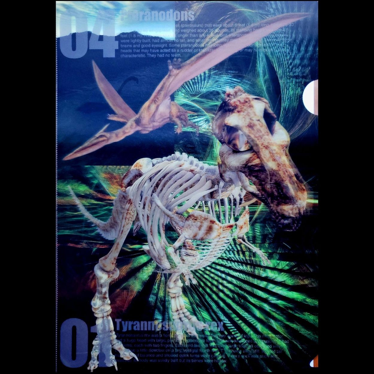 恐竜グッズ クリアファイル クリアホルダー A4 ティラノザウルス