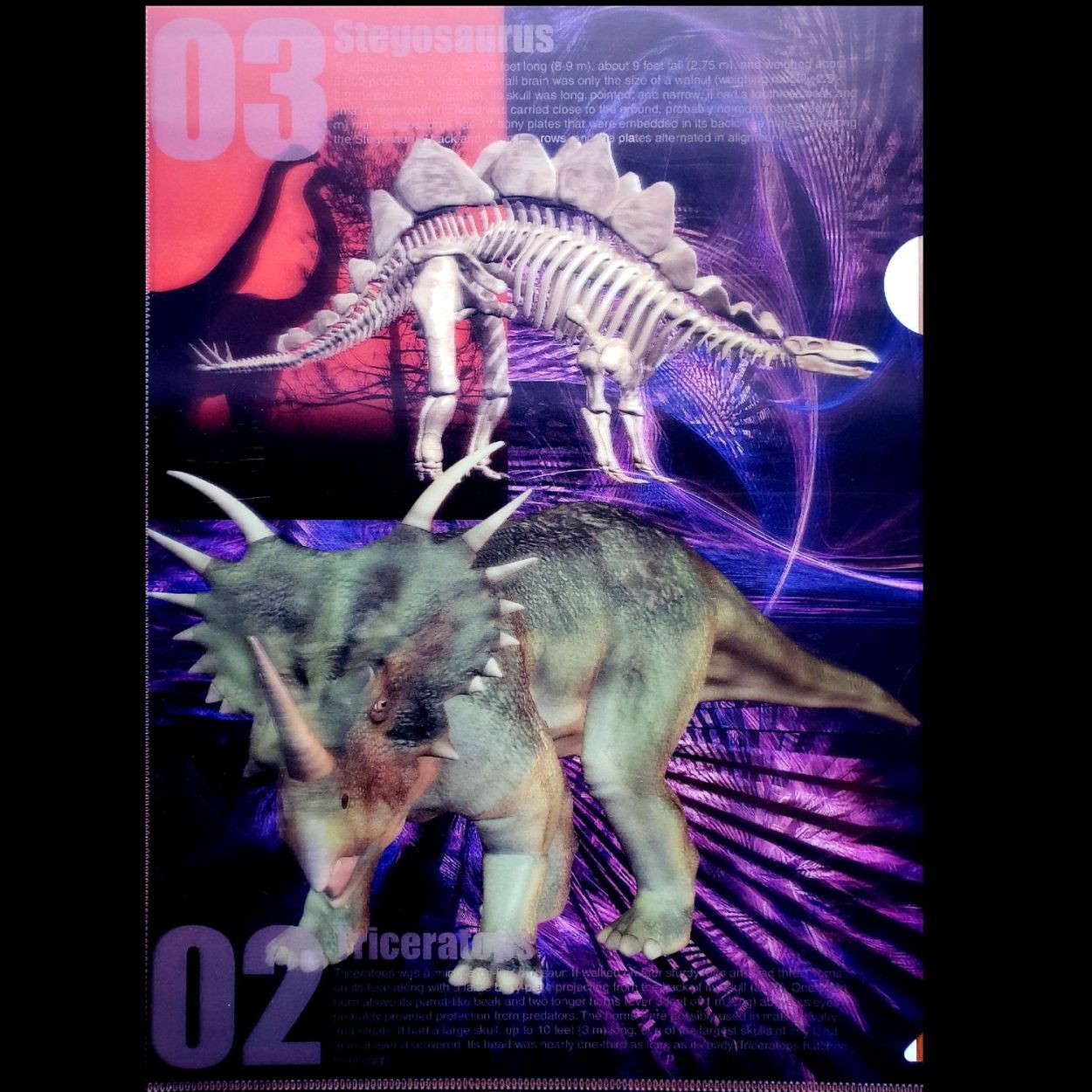 恐竜グッズ クリアファイル クリアホルダー A4 ティラノザウルス