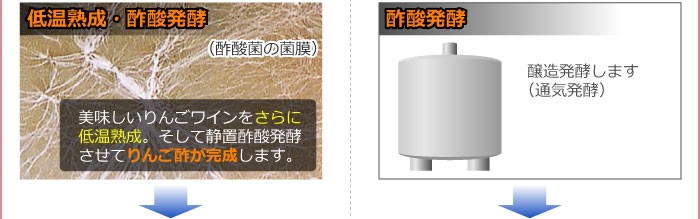 プロテオグリカン配合の飲むりんご酢