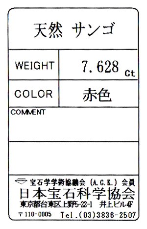 天然サンゴ石11 サンゴ石 B品【11cm以上/約5kg】 - Not for overseas sale -