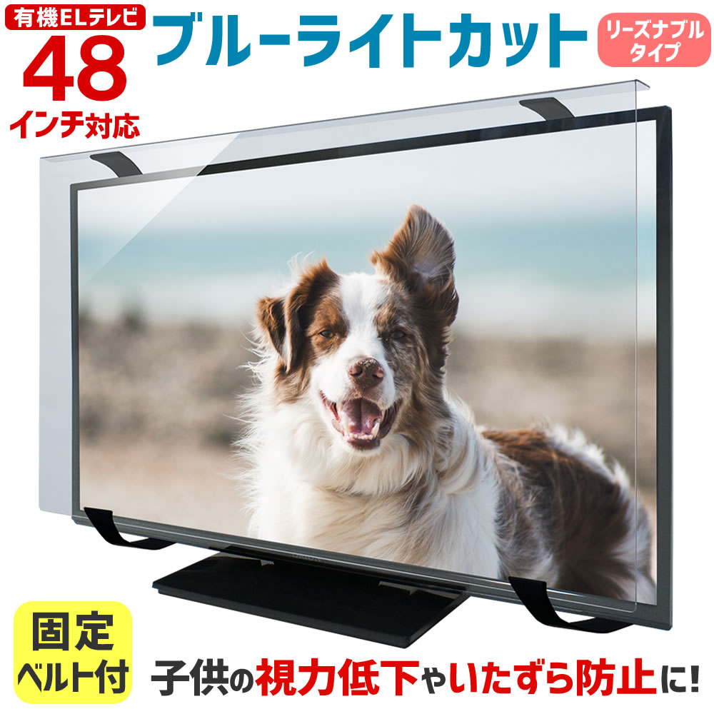 ブルーライトカット 有機ELテレビ 保護パネル 48型 48インチ ベルト付