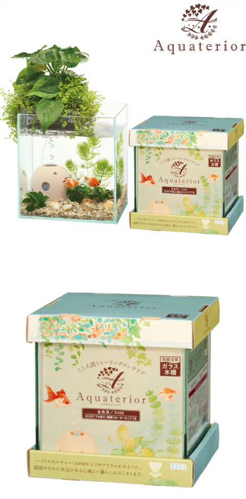 アクアテリア 金魚用N160 : タノシミドリ Yahoo!店 - 通販