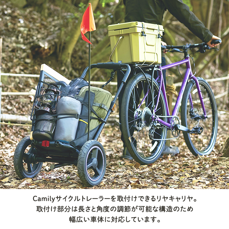 OGK技研 OGK オージーケー camily キャミリー専用リアキャリヤ