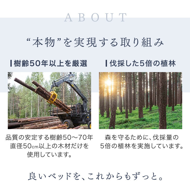 �x�b�h �}�b�g���X�t�� 3�]�[�� �������}�b�g���X �V���O���x�b�h ���̂��x�b�h �V���O�� �R���Z���g�t�� �ؐ� �{�t�� �x�b�g �}�b�g���X�Z�b�g �֘A�摜4