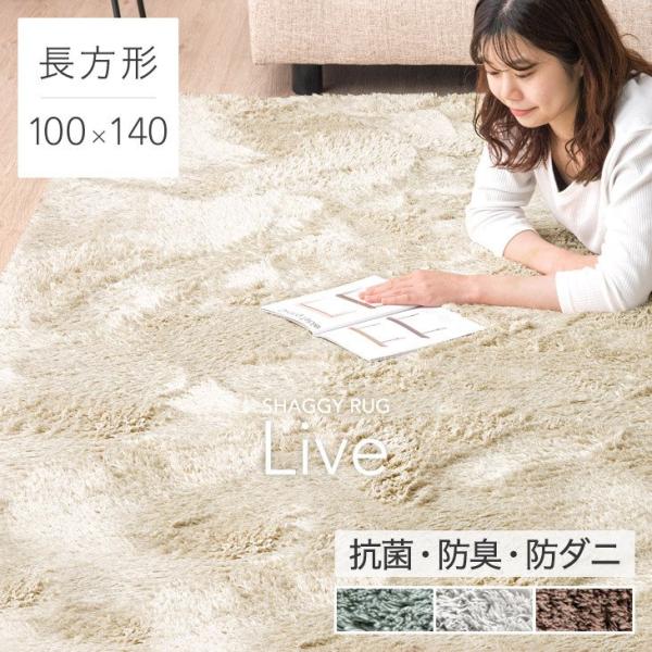 ラグ カーペット ラグマット シャギーラグ 100×140 洗える おしゃれ 1畳 くすみカラー 北欧 オールシーズン 夏 冬 抗菌 防臭 防ダニ